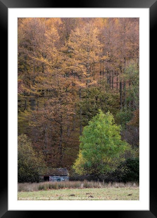 Majestic vibrant Autumn Fall landscape Buttermere in Lake District with beautiful early morning sunlight playing across the hills and mountains Framed Mounted Print by Matthew Gibson