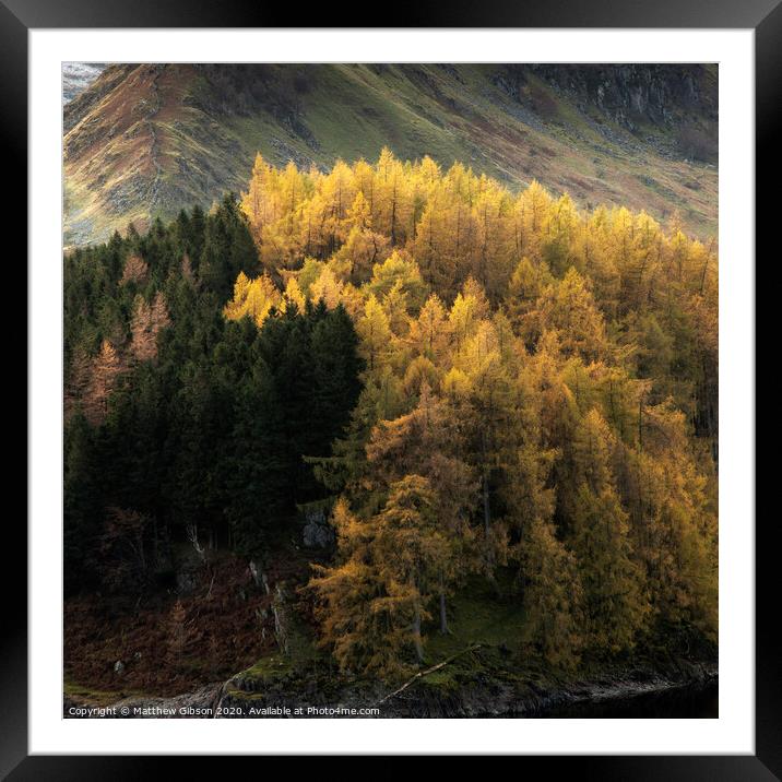 Beautiful landscape image of Autumn Fall with vibrant pine and larch trees against majestic setting of Hawes Water and High Stile peak in Lake District Framed Mounted Print by Matthew Gibson