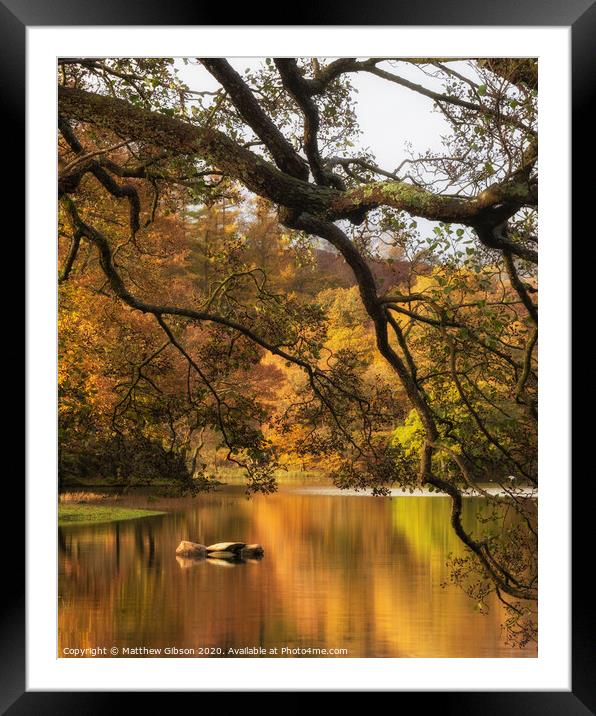 Stunning Autumn Fall landscape of lake in stunning sunrise soft light in English countryside Framed Mounted Print by Matthew Gibson
