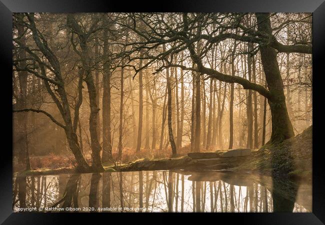Beautiful landscape image of still stream in forest in the Lake District with hazy sun beams and glow behind the trees reflected in the still water Framed Print by Matthew Gibson