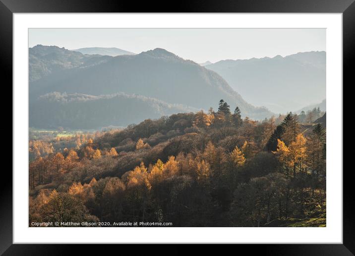 Beautiful Autumn Fall landscape image of the view from Catbells in the Lake District with vibrant Fall colors being hit by the late afternoon sun Framed Mounted Print by Matthew Gibson