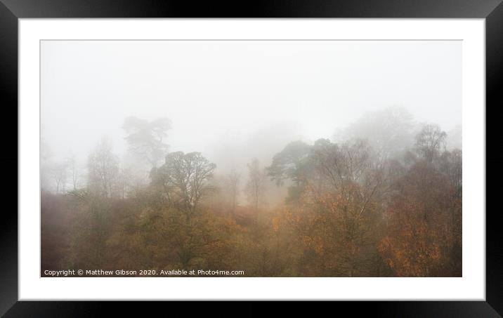 Beautiful mody Autumn Fall landscape of woodland with mist fog during early morning Framed Mounted Print by Matthew Gibson