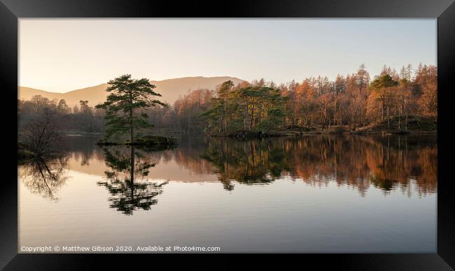 Beautiful landscape image of Tarn Hows in Lake District during beautiful Autumn Fall evening sunset with vibrant colours and still waters Framed Print by Matthew Gibson