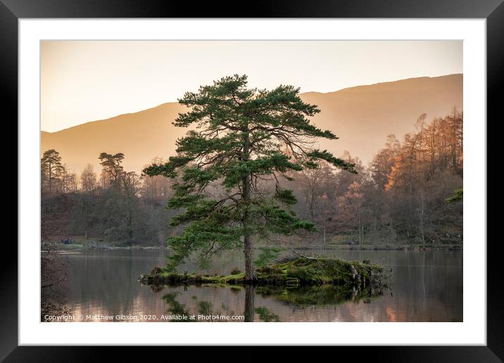 Beautiful landscape image of Tarn Hows in Lake District during beautiful Autumn Fall evening sunset with vibrant colours and still waters Framed Mounted Print by Matthew Gibson