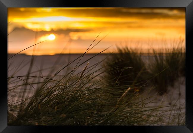 Beach Sunset Framed Print by Simon Wilkinson