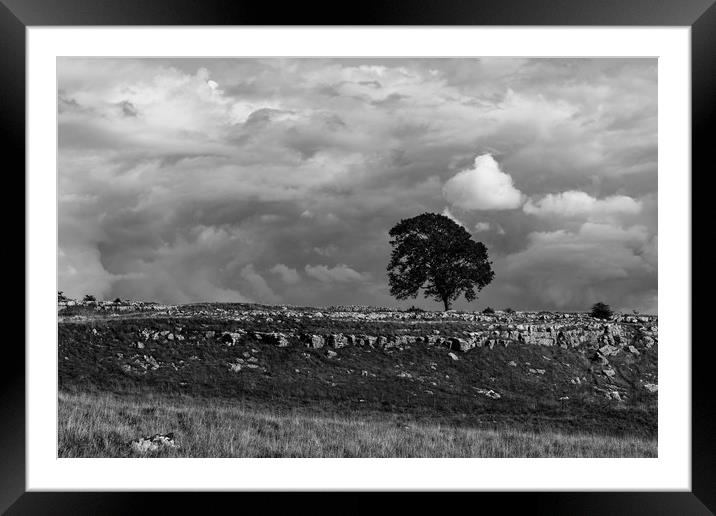 Lonely Tree Framed Mounted Print by Simon Wilkinson