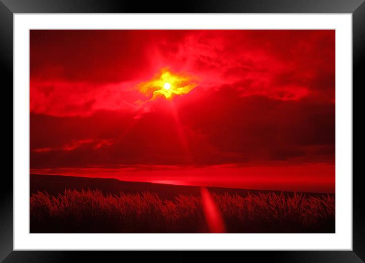 Spring sun set Framed Mounted Print by Sheryl Baptiste