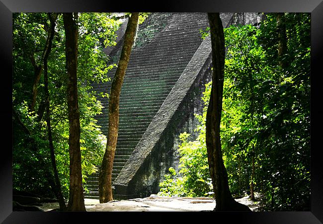 Tikal Temple Framed Print by Neil Gavin