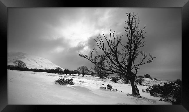 Winter in the Black Mountains Framed Print by TIM HUGHES