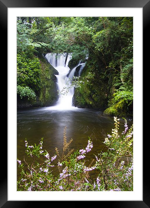 Heather falls Framed Mounted Print by TIM HUGHES