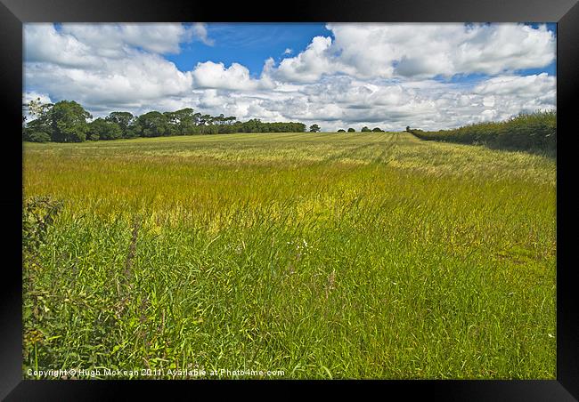 Landscape, ripening field of barley, Brydekirk, Sc Framed Print by Hugh McKean