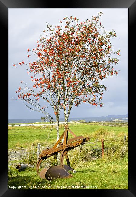 Agricultural, Farm implement, Plough, Rusting, Old Framed Print by Hugh McKean