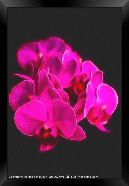 Photo Art, Plant, Orchid, Phalaenopsis, Pink Flowe Framed Print by Hugh McKean