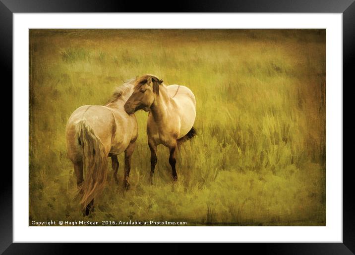 Photo art, Highland ponies Framed Mounted Print by Hugh McKean