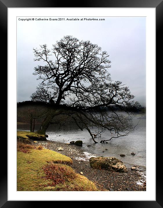 Lonely tree Framed Mounted Print by Catherine Fowler