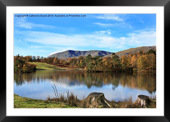 Tarn Hows Framed Mounted Print by Catherine Fowler