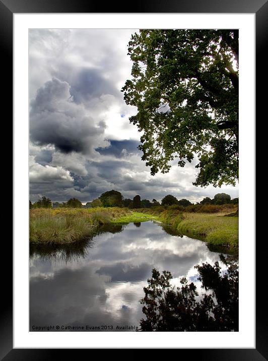 Bushy Park Framed Mounted Print by Catherine Fowler