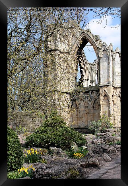 St Mary's Abbey Ruins York #2 Framed Print by Catherine Fowler