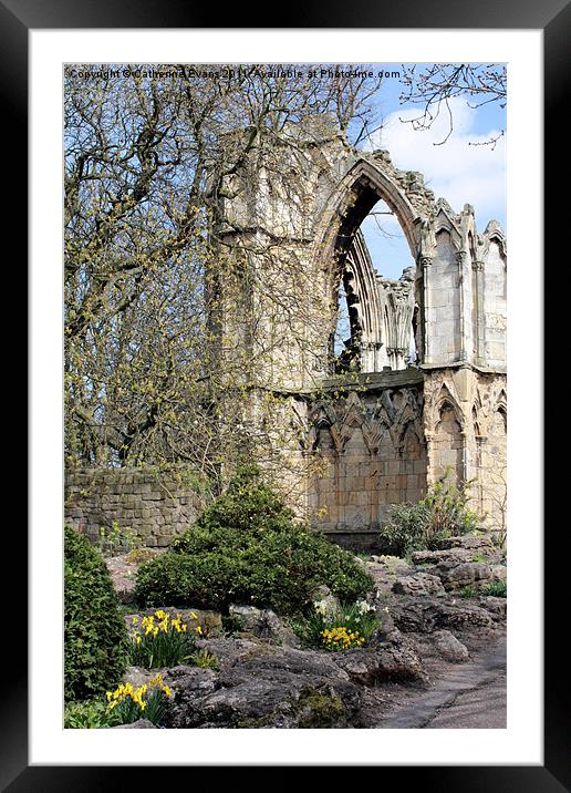 St Mary's Abbey Ruins York #2 Framed Mounted Print by Catherine Fowler