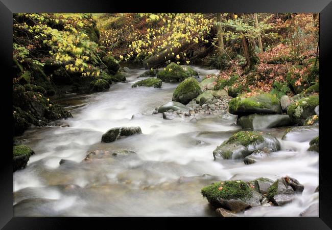Stock Ghyll #1 Framed Print by Catherine Fowler