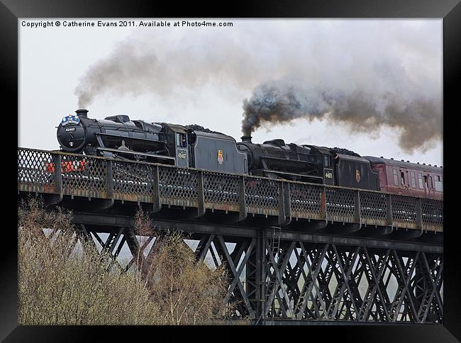 Double Black 5 Framed Print by Catherine Fowler