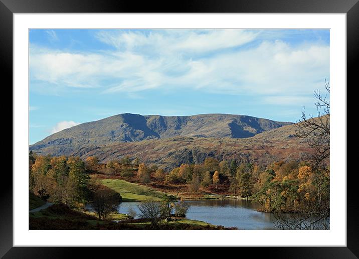 Tarn Hows looking at Wetherlam Framed Mounted Print by Catherine Fowler