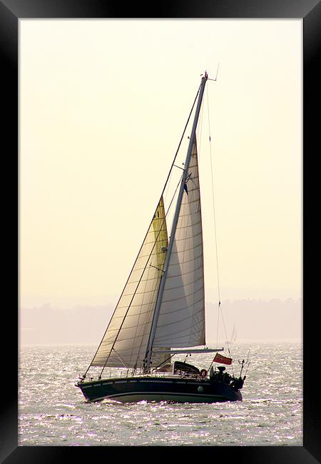 Solent Yacht Framed Print by Peter West