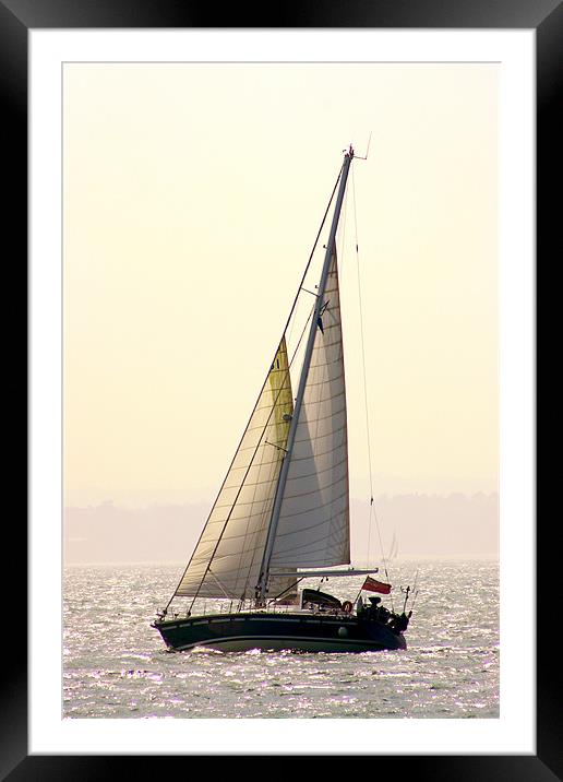Solent Yacht Framed Mounted Print by Peter West