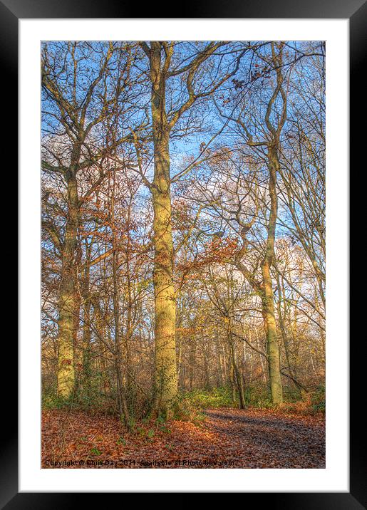 Ruislip Lido Framed Mounted Print by Chris Day