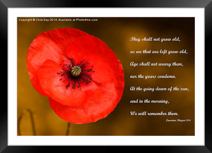 Remembrance Framed Mounted Print by Chris Day