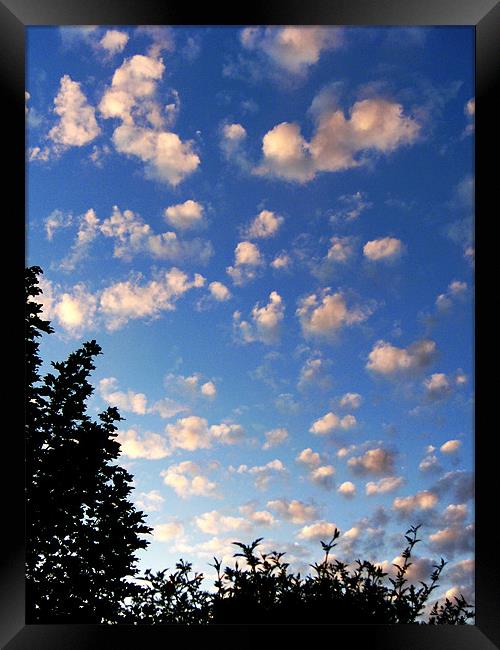 Summer evening clouds Framed Print by Chris Day