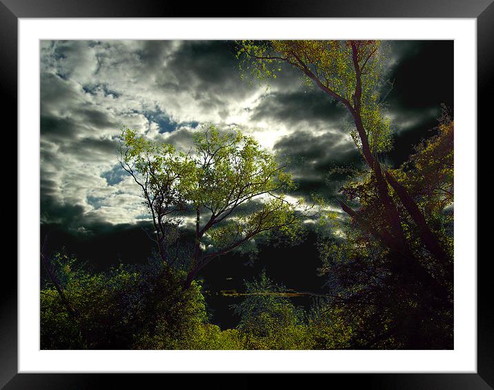 Spooky Wood Framed Mounted Print by Chris Day