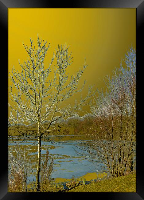 Icy lake under a golden sky Framed Print by Chris Day
