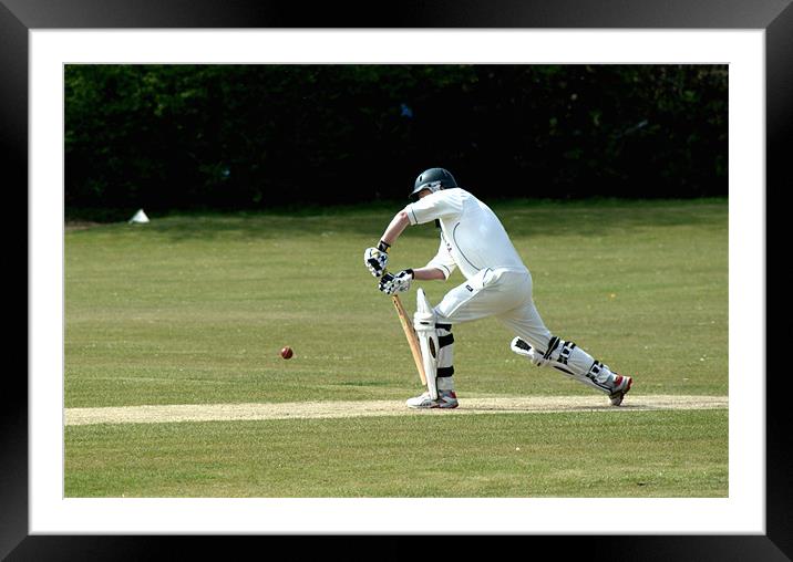 Cricket Batsman 4 Framed Mounted Print by Chris Day