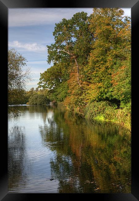 First signs of Autumn Framed Print by Chris Day