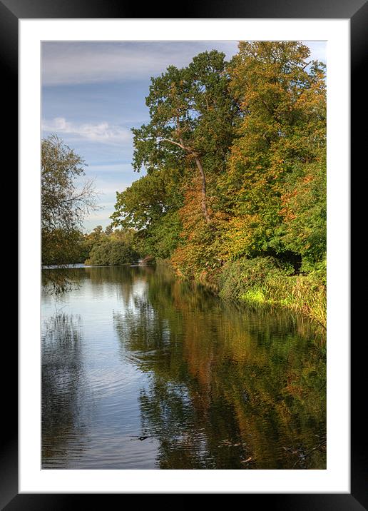 First signs of Autumn Framed Mounted Print by Chris Day