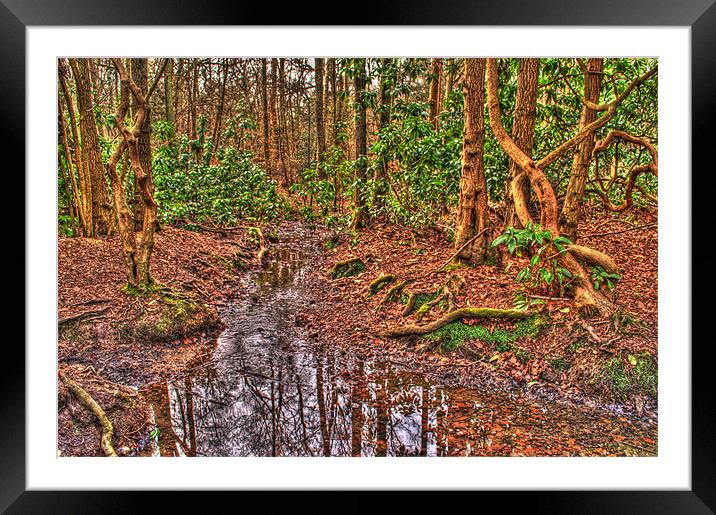 Woodland Stream Framed Mounted Print by Chris Day