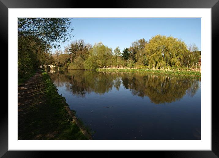 Reflective Mood Framed Mounted Print by Chris Day