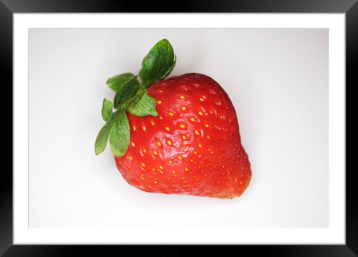 Lone Strawberry Framed Mounted Print by Chris Day
