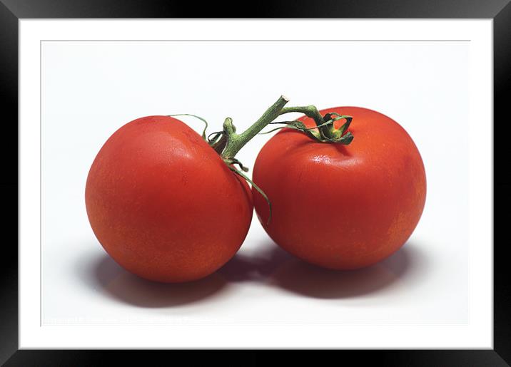 Tomatoes Framed Mounted Print by Chris Day