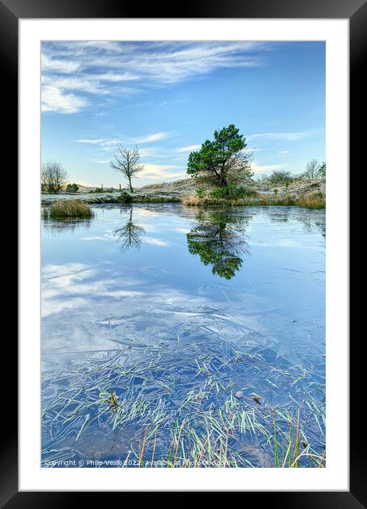 St James Forest Pond Reflection. Framed Mounted Print by Philip Veale