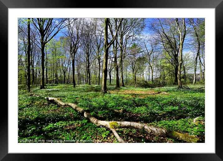 Forest Fawr as Spring Wakes. Framed Mounted Print by Philip Veale