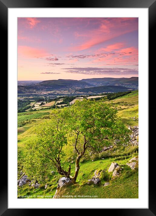 Llangynidr Moors Single Tree Sunset. Framed Mounted Print by Philip Veale