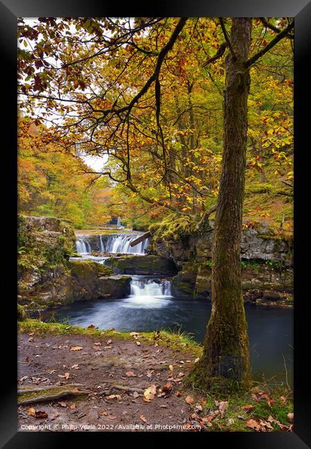 Nedd Fechan Waterfall Autumn Glory. Framed Print by Philip Veale