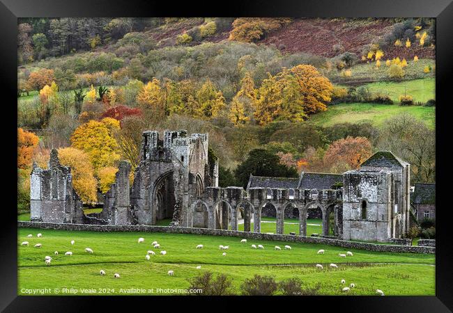 Llanthony Abbey in Autumn. Framed Print by Philip Veale