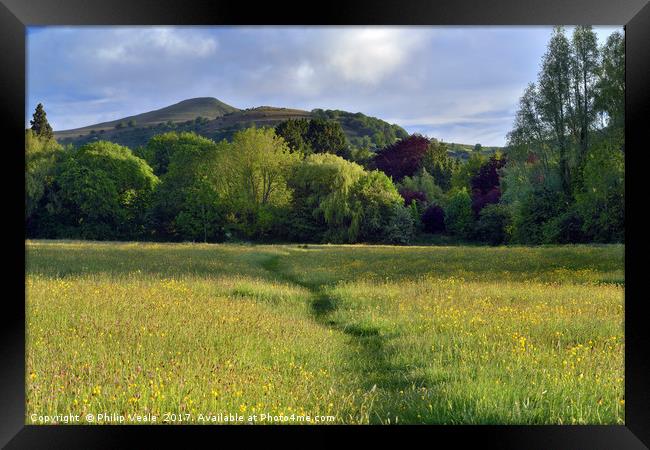 Sugar Loaf from Castle Meadows, Abergavenny. Framed Print by Philip Veale