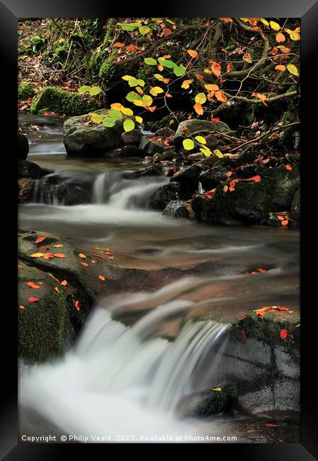 Clydach Gorge Falls in Autumn. Framed Print by Philip Veale