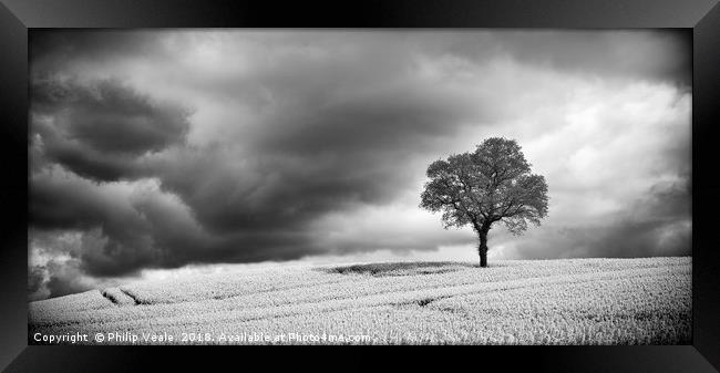 Storm Brewing over Rapeseed Field, Monochrome. Framed Print by Philip Veale