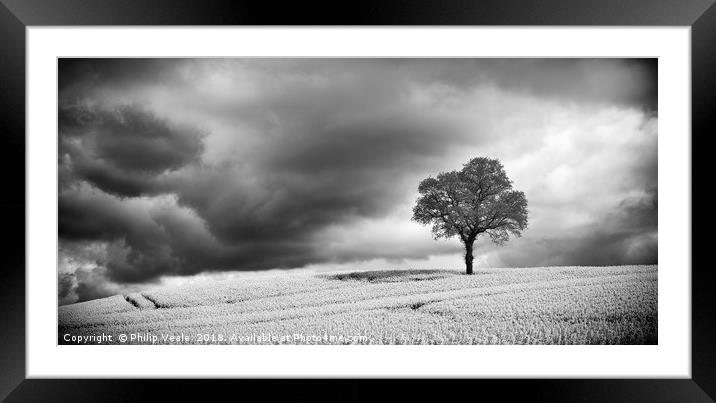Storm Brewing over Rapeseed Field, Monochrome. Framed Mounted Print by Philip Veale