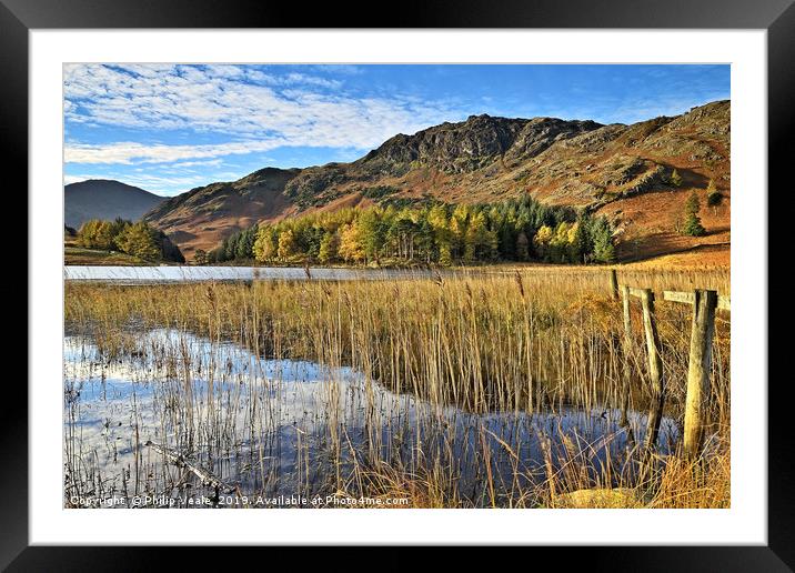 Blea Tarn on a Calm Autumn Morning. Framed Mounted Print by Philip Veale